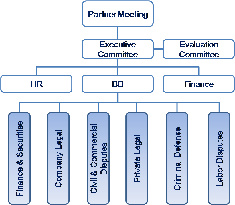 Law Firm Org Chart